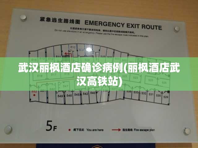 武汉丽枫酒店确诊病例(丽枫酒店武汉高铁站)