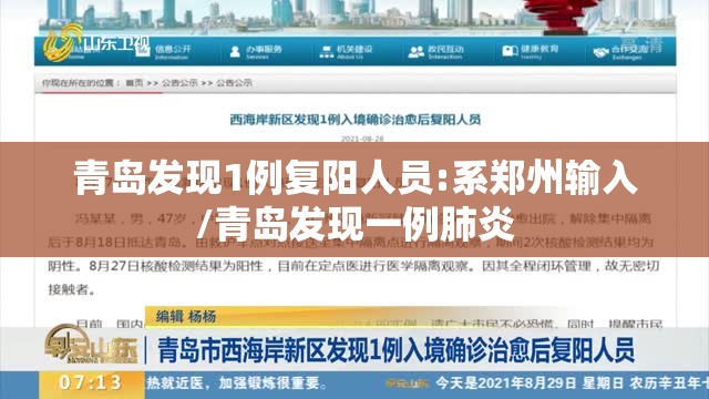 青岛发现1例复阳人员:系郑州输入/青岛发现一例肺炎