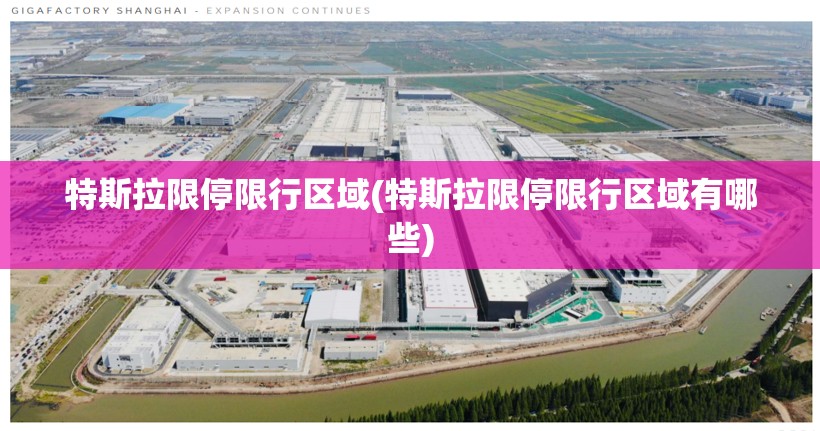 特斯拉限停限行区域(特斯拉限停限行区域有哪些)