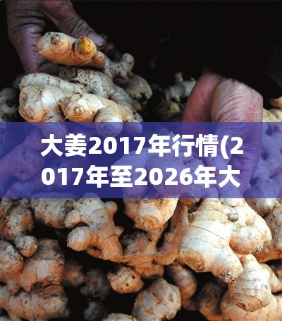大姜2017年行情(2017年至2026年大蒜行情)