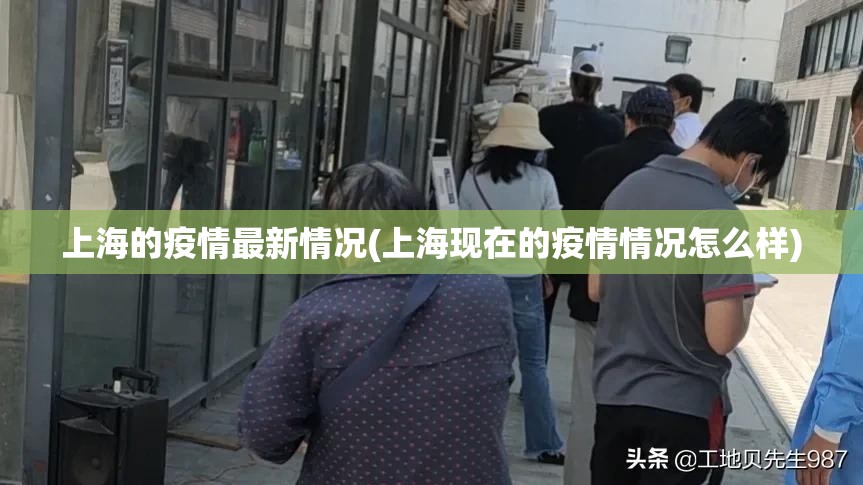 上海的疫情最新情况(上海现在的疫情情况怎么样)