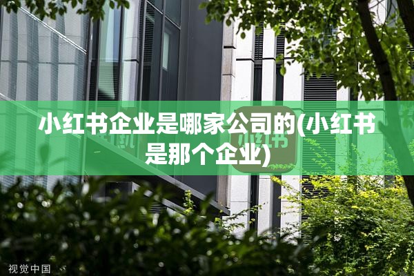 小红书企业是哪家公司的(小红书是那个企业)