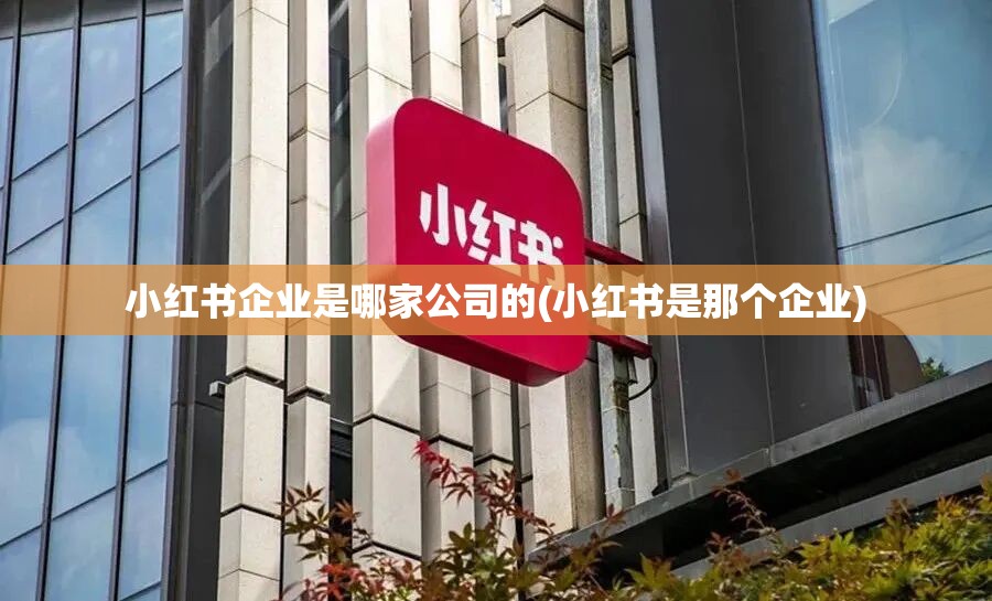 小红书企业是哪家公司的(小红书是那个企业)