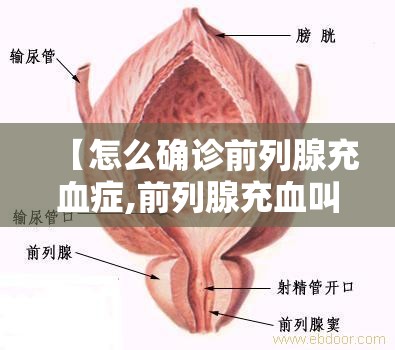 【怎么确诊前列腺充血症,前列腺充血叫前列腺炎吗】