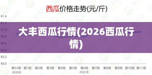大丰西瓜行情(2026西瓜行情)