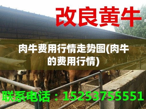 肉牛费用行情走势图(肉牛的费用行情) 肉牛费用行情走势图(肉牛的费用行情)