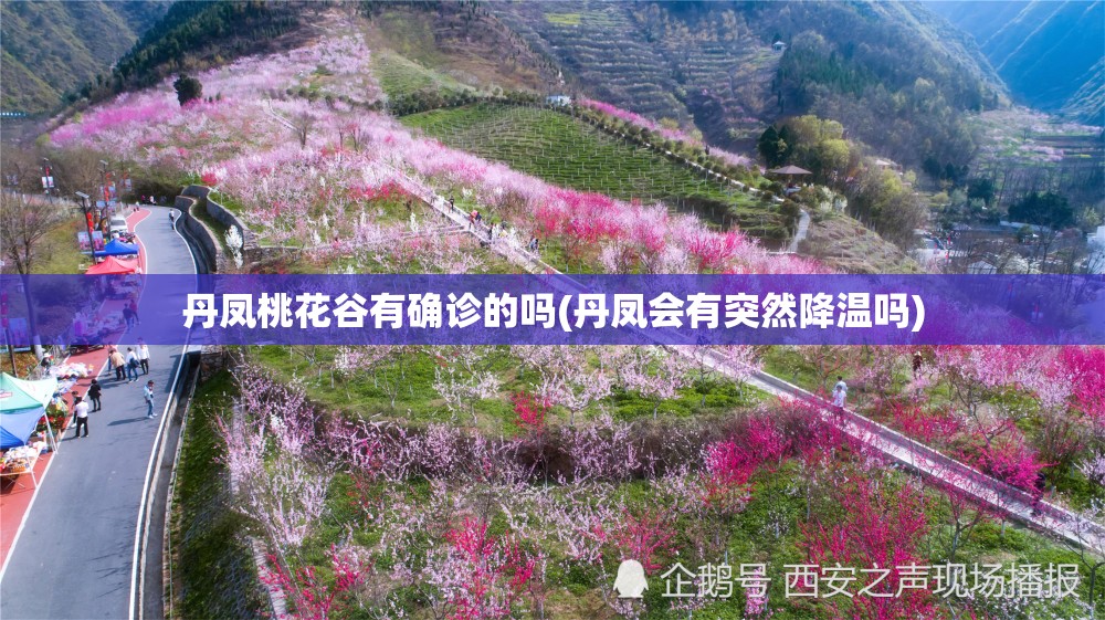 丹凤桃花谷有确诊的吗(丹凤会有突然降温吗)