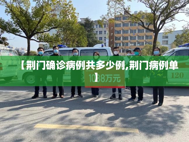【荆门确诊病例共多少例,荆门病例单】