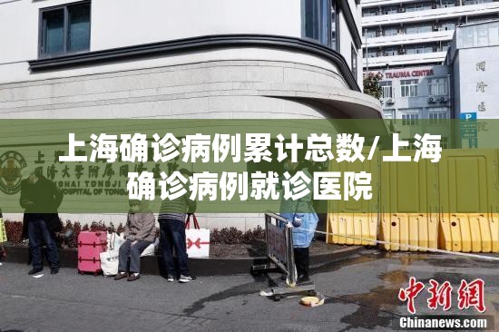 上海确诊病例累计总数/上海确诊病例就诊医院