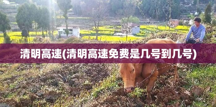 清明高速(清明高速免费是几号到几号)