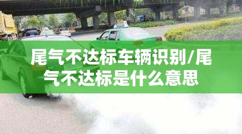 尾气不达标车辆识别/尾气不达标是什么意思 尾气不达标车辆识别/尾气不达标是什么意思