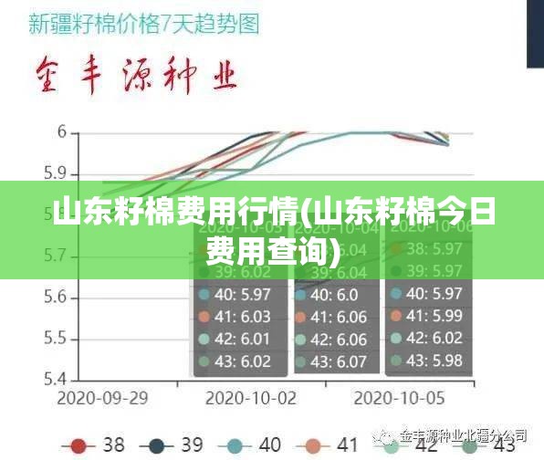 山东籽棉费用行情(山东籽棉今日费用查询)