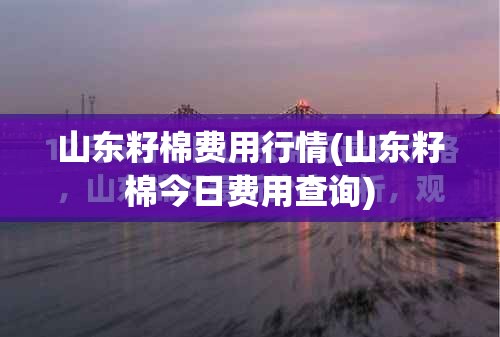 山东籽棉费用行情(山东籽棉今日费用查询) 山东籽棉费用行情(山东籽棉今日费用查询)