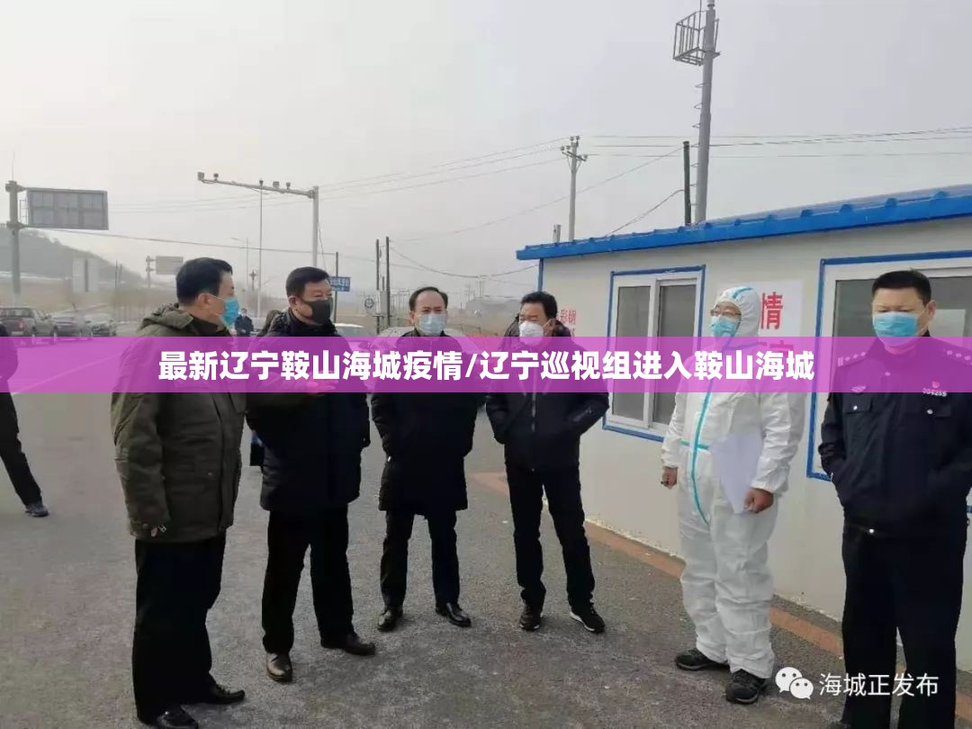 最新辽宁鞍山海城疫情/辽宁巡视组进入鞍山海城