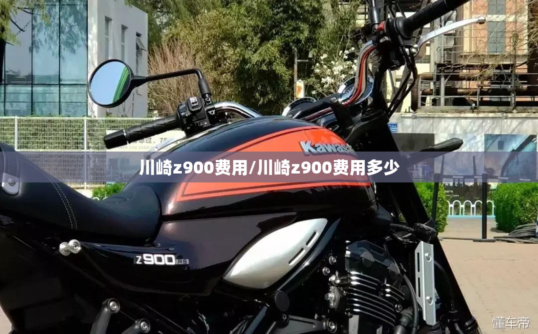 川崎z900费用/川崎z900费用多少
