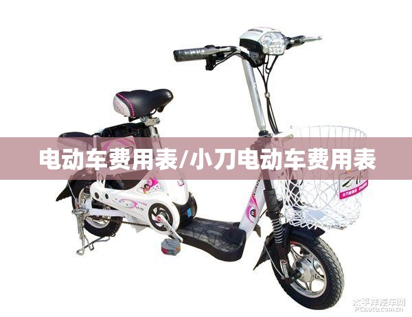 电动车费用表/小刀电动车费用表