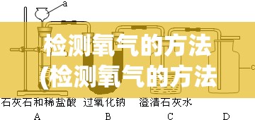 检测氧气的方法(检测氧气的方法是什么)