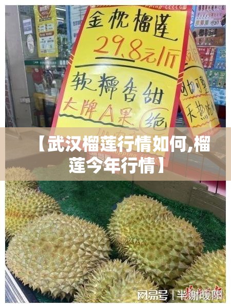 【武汉榴莲行情如何,榴莲今年行情】