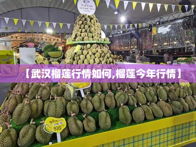 【武汉榴莲行情如何,榴莲今年行情】
