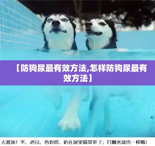【防狗尿最有效方法,怎样防狗尿最有效方法】 【防狗尿最有效方法,怎样防狗尿最有效方法】