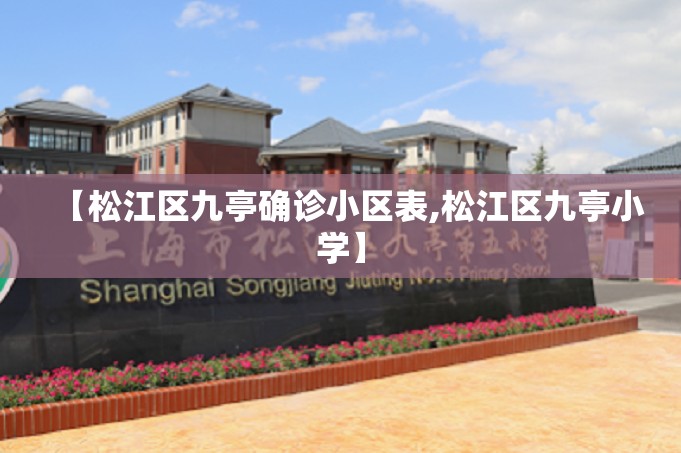 【松江区九亭确诊小区表,松江区九亭小学】