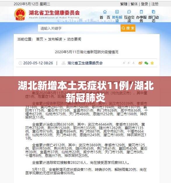 湖北新增本土无症状11例/湖北新冠肺炎 湖北新增本土无症状11例/湖北新冠肺炎