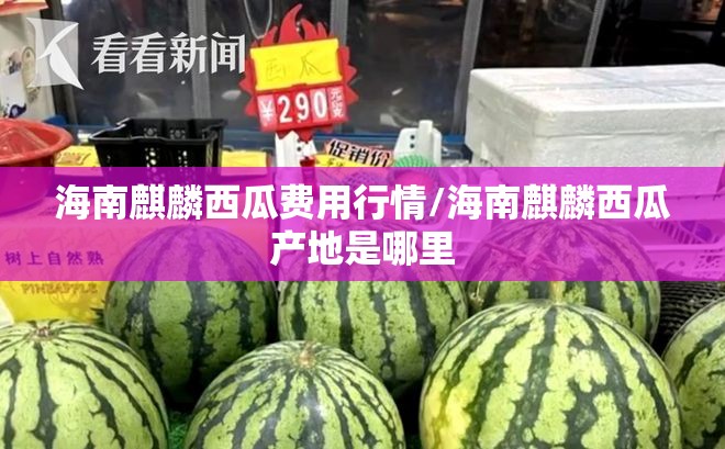 海南麒麟西瓜费用行情/海南麒麟西瓜产地是哪里 海南麒麟西瓜费用行情/海南麒麟西瓜产地是哪里