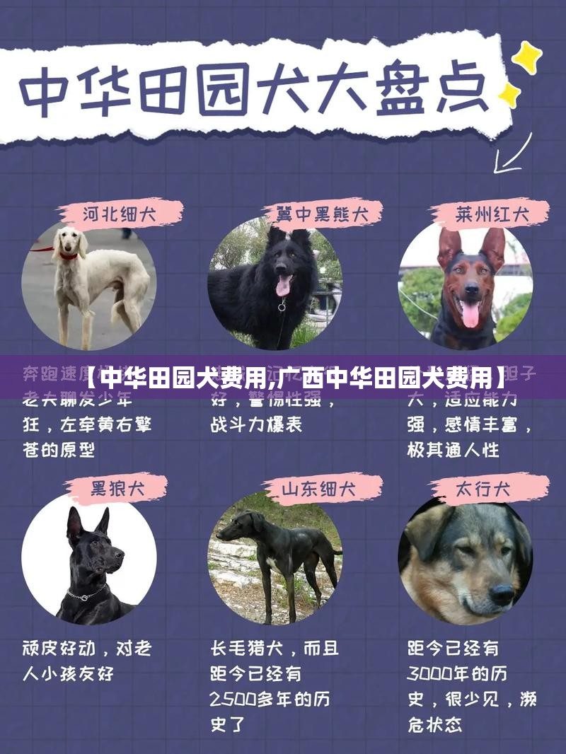 【中华田园犬费用,广西中华田园犬费用】