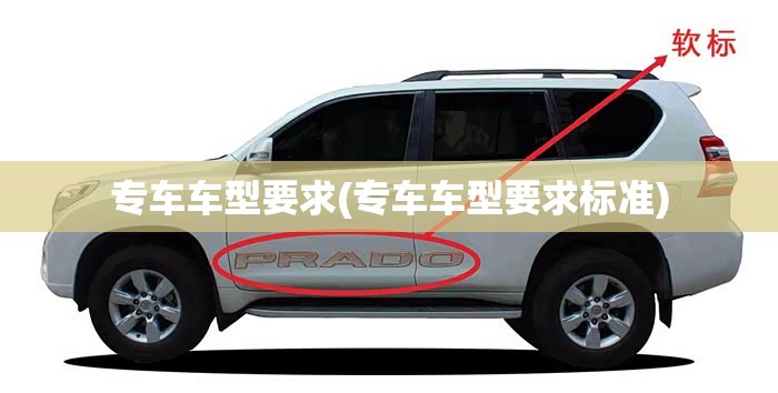 专车车型要求(专车车型要求标准) 专车车型要求(专车车型要求标准)