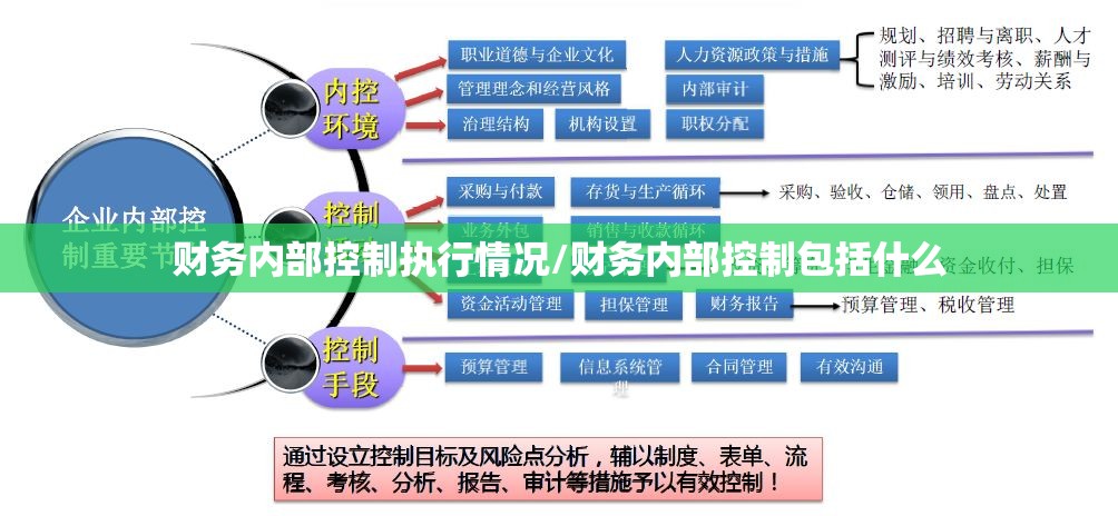 财务内部控制执行情况/财务内部控制包括什么