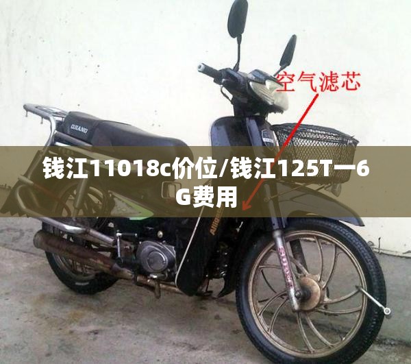 钱江11018c价位/钱江125T一6G费用