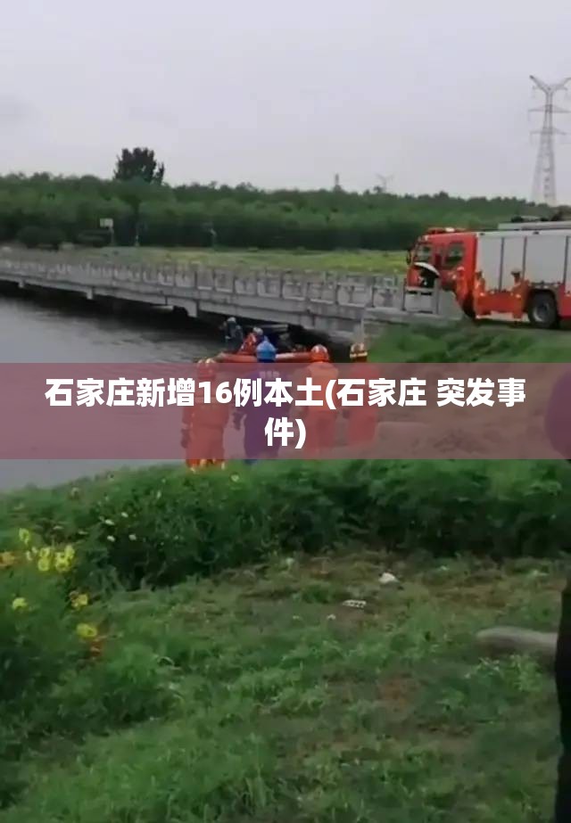 石家庄新增16例本土(石家庄 突发事件) 石家庄新增16例本土(石家庄 突发事件)