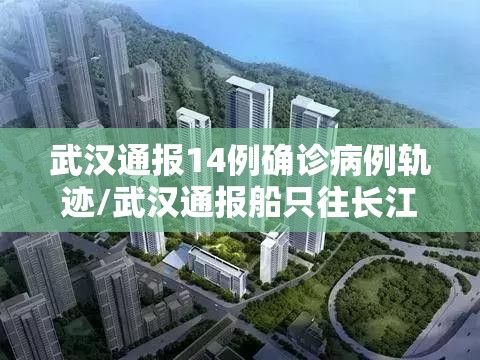 武汉通报14例确诊病例轨迹/武汉通报船只往长江倒黑色固体