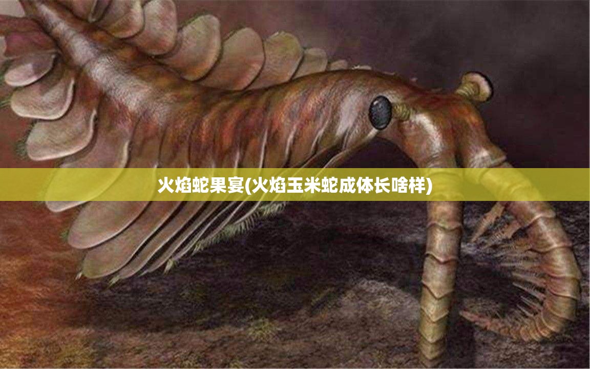火焰蛇果宴(火焰玉米蛇成体长啥样)