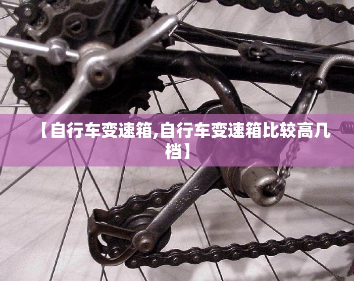 【自行车变速箱,自行车变速箱比较高几档】