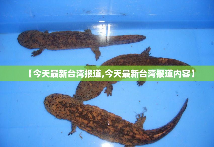 【今天最新台湾报道,今天最新台湾报道内容】 【今天最新台湾报道,今天最新台湾报道内容】