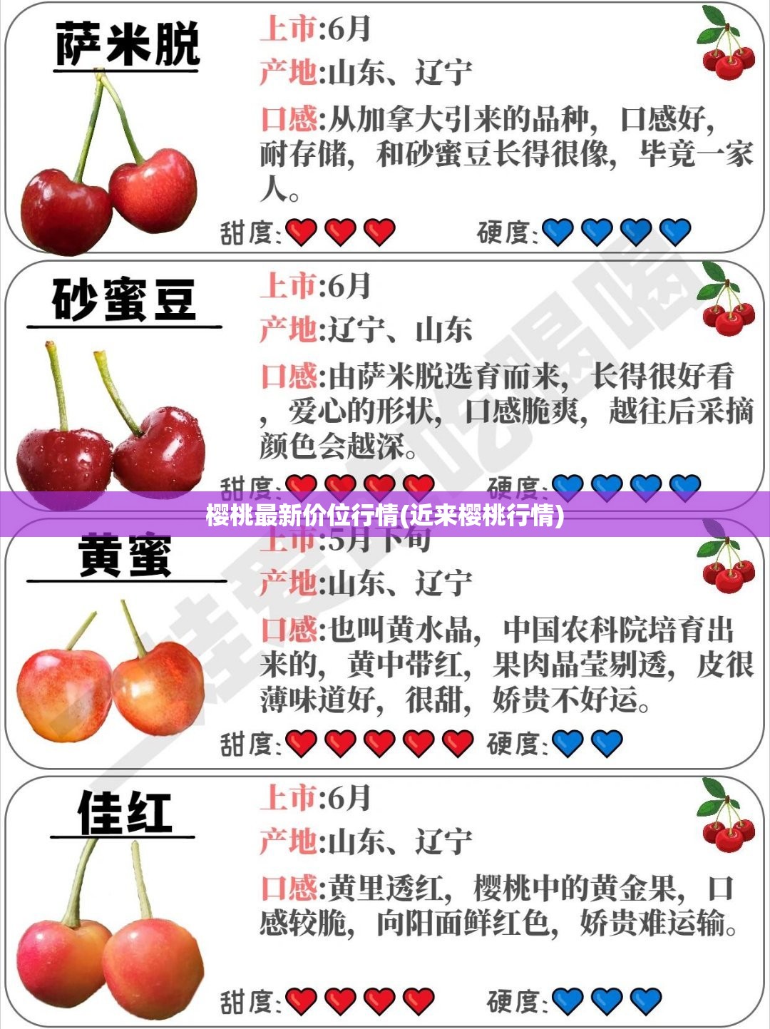 樱桃最新价位行情(近来樱桃行情)