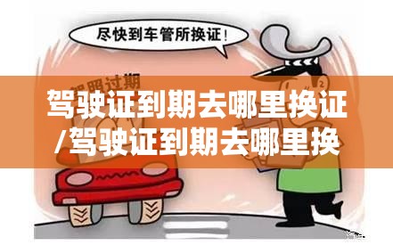 驾驶证到期去哪里换证/驾驶证到期去哪里换证最快最方便 驾驶证到期去哪里换证/驾驶证到期去哪里换证最快最方便