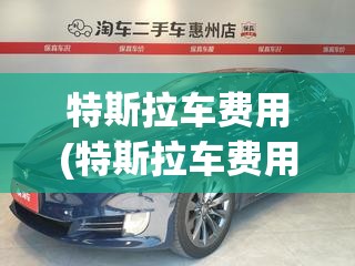 特斯拉车费用(特斯拉车费用表)
