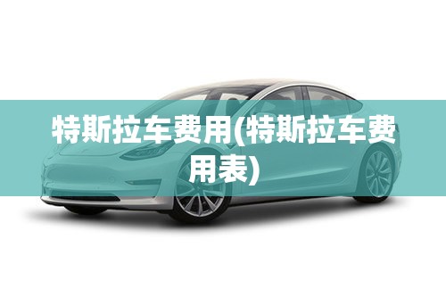 特斯拉车费用(特斯拉车费用表)