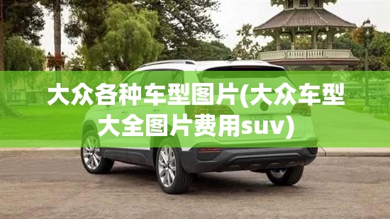 大众各种车型图片(大众车型大全图片费用suv) 大众各种车型图片(大众车型大全图片费用suv)