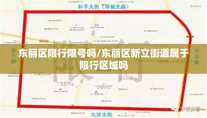 东丽区限行限号吗/东丽区新立街道属于限行区域吗 东丽区限行限号吗/东丽区新立街道属于限行区域吗