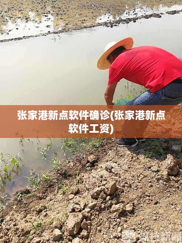张家港新点软件确诊(张家港新点软件工资) 张家港新点软件确诊(张家港新点软件工资)