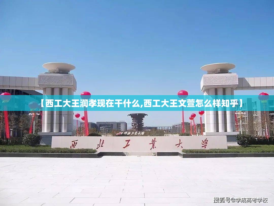 【西工大王润孝现在干什么,西工大王文萱怎么样知乎】