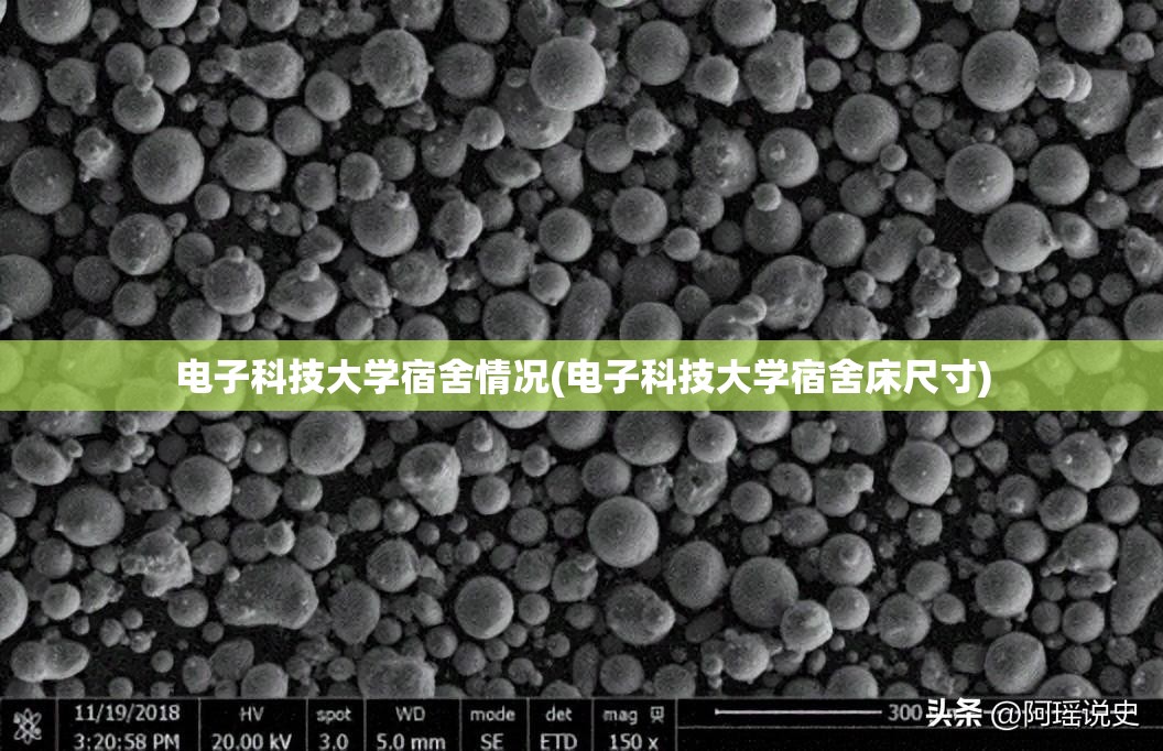 电子科技大学宿舍情况(电子科技大学宿舍床尺寸)