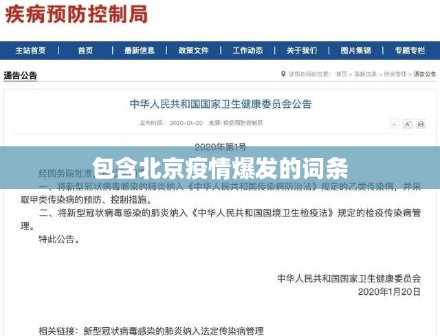 包含北京疫情爆发的词条 包含北京疫情爆发的词条