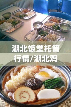 湖北饭堂托管行情/湖北鸡蛋行情今日报价 湖北饭堂托管行情/湖北鸡蛋行情今日报价