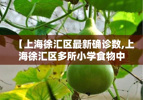 【上海徐汇区最新确诊数,上海徐汇区多所小学食物中毒】