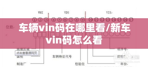 车辆vin码在哪里看/新车vin码怎么看