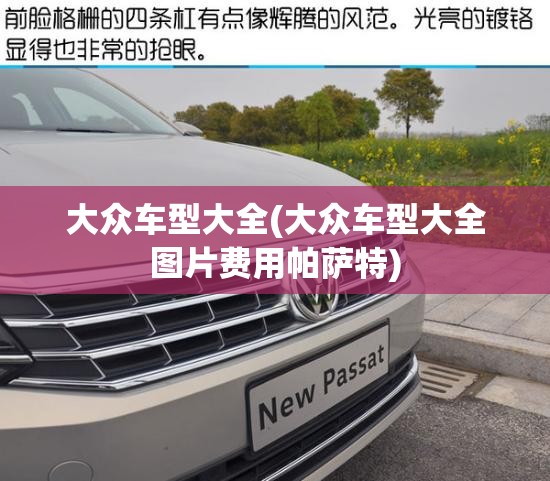 大众车型大全(大众车型大全图片费用帕萨特) 大众车型大全(大众车型大全图片费用帕萨特)